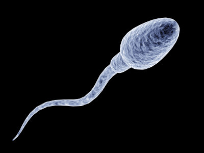 Semen y embriones