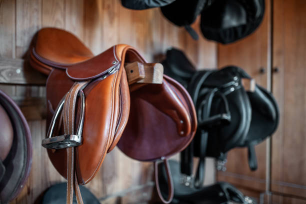 Servicios Freepegasus